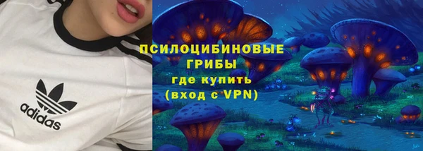 a pvp Гусь-Хрустальный