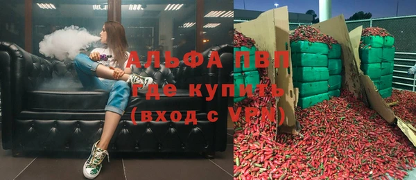 ПСИЛОЦИБИНОВЫЕ ГРИБЫ Осинники