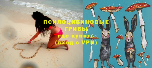 спайс Горняк