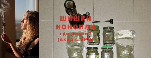 ПСИЛОЦИБИНОВЫЕ ГРИБЫ Осинники