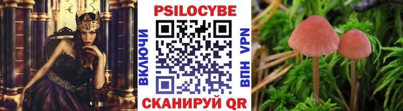 Галлюциногенные грибы мухоморы  Мглин 