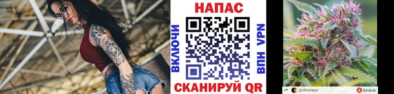 Каннабис Ganja  где купить наркоту  Мглин 